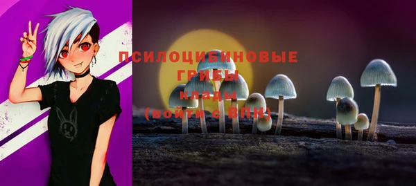 дживик Армянск
