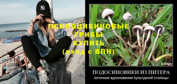 спиды Няндома