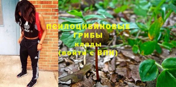 круглые Арсеньев