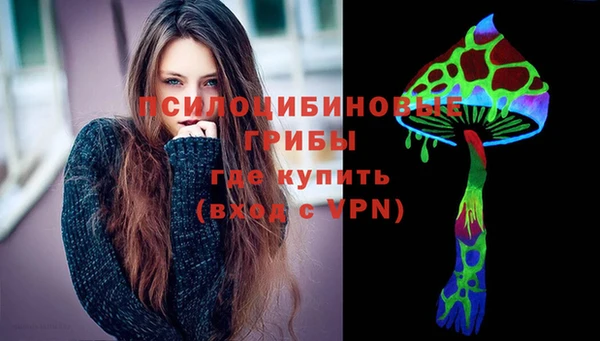 spice Аркадак