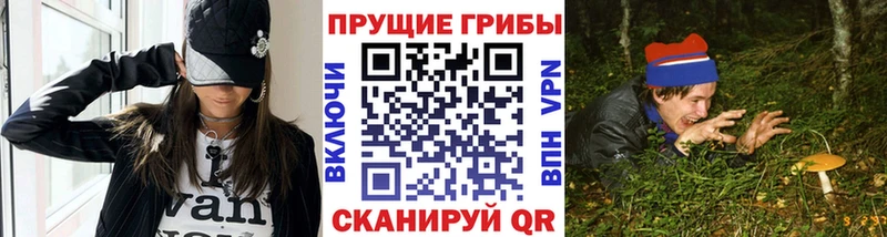 MEGA ONION Светлогорск Псилоцибиновые грибы прущие грибы